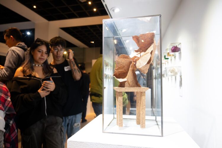 MUSEO DE ARTE POPULAR INAUGURA «SILENCIOS Y ABSTRACCIONES» DE MARIBEL PORTELA EN LA NOCHE DE MUSEOS DE AGOSTO