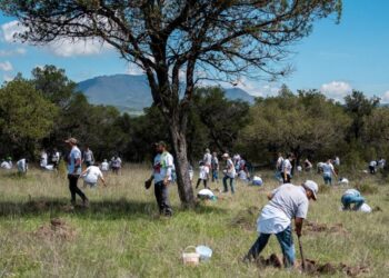 Impulsan conservación ambiental en Tlaxcala, con partición de empresas y ciudadanía
