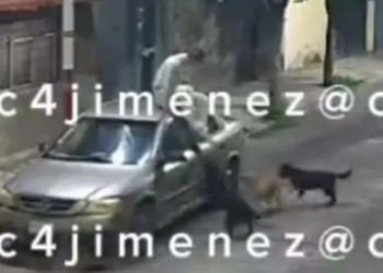 Joven es perseguido por jauría de perros en Tláhuac; así reacciona