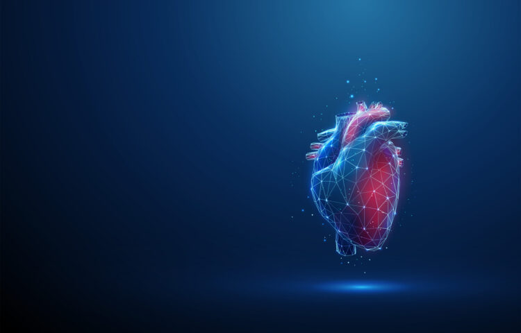 Cardio-oncología: proteger el corazón mientras se combate el cáncer