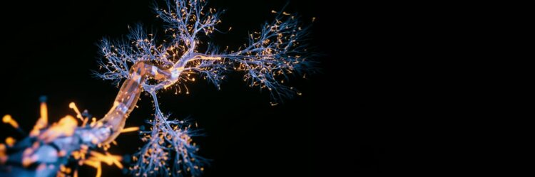 Avances en la investigación del glioblastoma