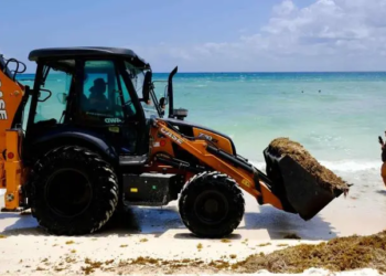 Secretaría de Marina se encarga de atender el problema del sargazo en playas: AMLO