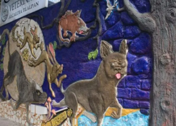 Transforma Tlalpan sus calles con 110 murales artísticos