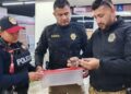 Valoran a dos bebés cocodrilos encontrados en el Metro de la CDMX