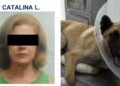 Dan prisión preventiva a mujer que arrastró a perrito con su camioneta en Tlaquepaque