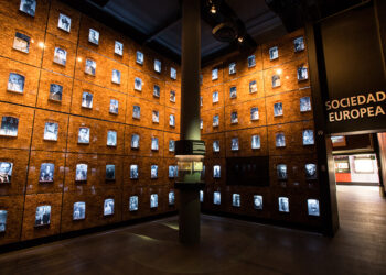 Más allá de las palabras: Acciones para lograr la paz