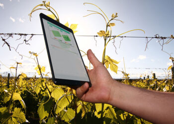 Qué son las Climatech y por qué están redefiniendo la sostenibilidad hídrica en Latinoamérica