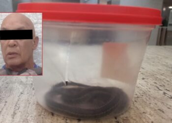 Detienen a hombre con serpiente de agua en el Metro de la CDMX