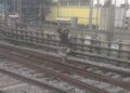 Sujeto entra a la zona de vías de la línea A del Metro CDMX