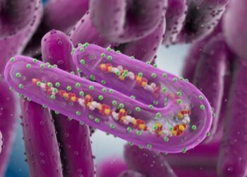 México emite alerta por brote de virus de Marburgo en Ruanda