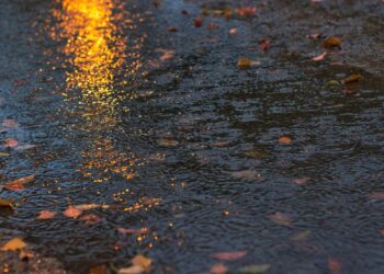 Lluvias en Veracruz cobran primer víctima: joven muere arrastrado por arroyo en Tuxtla