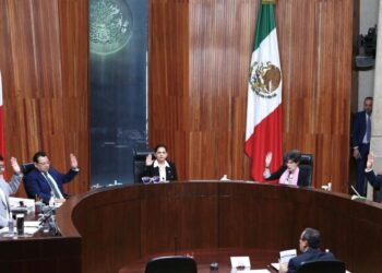 Eligen como vicepresidenta de la AMEA, a la magistrada presidenta del TEPJF, Mónica Soto