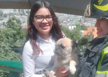 Bomberos rescatan a perrito atrapado en acueducto en la Gustavo A. Madero