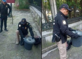 Hallan serpiente de cascabel en el Bosque de Chapultepec, BVA la resguarda