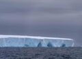 Colosal iceberg de un billón de toneladas se desprende y viaja a la deriva en el Océano Austral