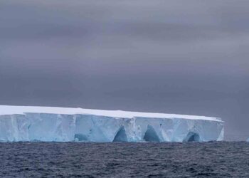 Colosal iceberg de un billón de toneladas se desprende y viaja a la deriva en el Océano Austral