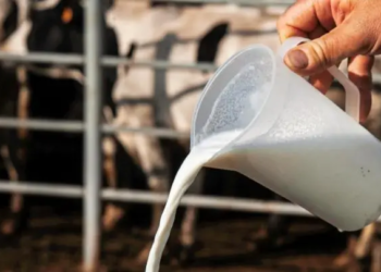 California suspende la distribución de leche cruda tras detección de gripe aviar