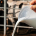 California suspende la distribución de leche cruda tras detección de gripe aviar