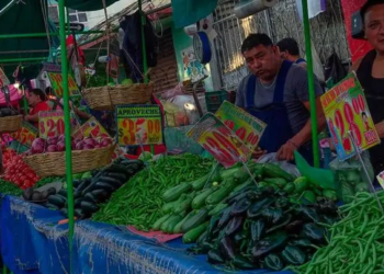 Inflación se perfila cerrar 2024 por debajo de lo esperado: Inegi