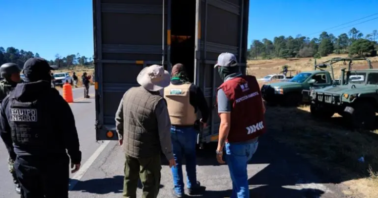 Colocan filtro contra la tala ilegal en San Miguel Topilejo, Tlalpan
