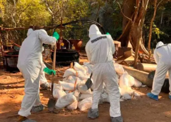 Semar desmantela ‘narcolaboratorio’ de ‘Los Mayos’ en Culiacán