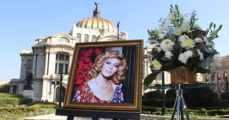 Decenas esperan afuera de Bellas Artes para el último adiós a Silvia Pinal