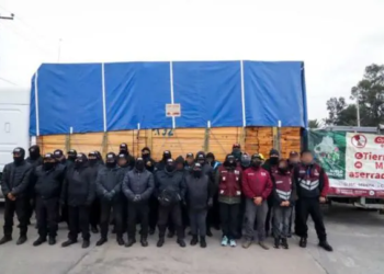 Aseguran camión con madera ilegal en Tlalpan; incautan 32 m³