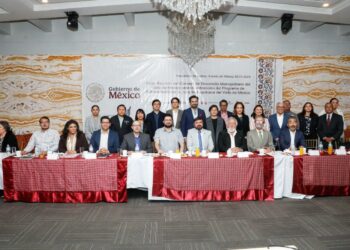 DEPURACIÓN DE LA POLICÍA DE TLALNE COMO EJE RECTOR DEL CONSEJO MUNICIPAL DE SEGURIDAD PÚBLICA