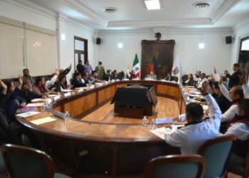 DEPURACIÓN DE LA POLICÍA DE TLALNE COMO EJE RECTOR DEL CONSEJO MUNICIPAL DE SEGURIDAD PÚBLICA