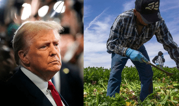 MIGRANTES, IMPULSO PARA LA ECONOMÍA DE EU: DIANA FOULLON GÓMEZ