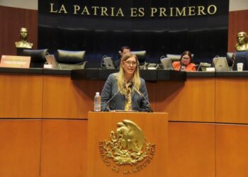 Se debe verificar el cumplimiento de la normativa de protección a la fauna en la zona del Tren Maya: Maki Ortiz