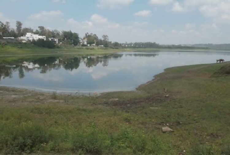Gobierno de Cuautitlán Izcalli da respuesta para rescatar el Lago de Guadalupe