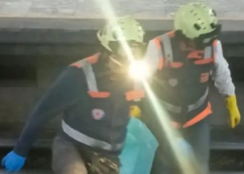 Mujer muere tras arrojarse al paso del tren en la estación Valle Gómez