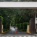 Alcaldía Tlalpan autoriza derribo de árboles en la Universidad Intercontinental