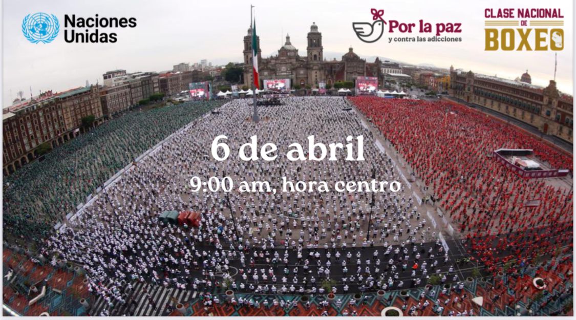 La Mala Experiencia de la afición con Floyd Mayweather.