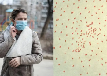 México registra 288 casos de tos ferina; refuerzan vacunación