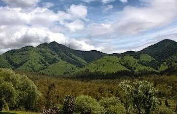 Daños mínimos sufrió la Sierra de Guadalupe por incendios forestales