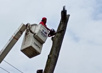 Atiende alcaldesa peticiones ciudadanas en San Francisco Magú