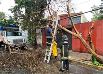 DEPENDENCIAS MUNICIPALES EN TLALNEPANTLA TRABAJAN PARA SOLUCIONAR AFECTACIONES POR LLUVIAS