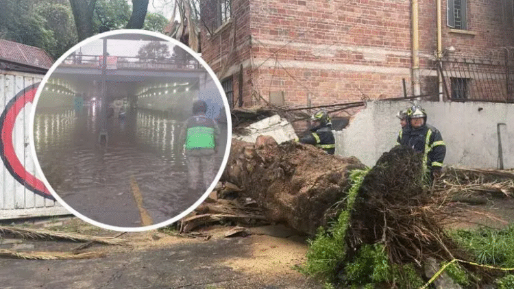 Trombas causan destrozos en al menos tres alcaldías la tarde de este sábado
