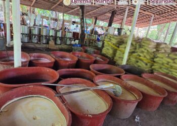 Harfuch confirma megadecomiso de 6 toneladas de drogas en Chiapas y Guerrero