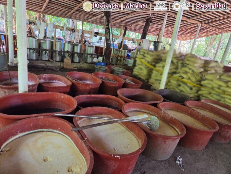 Harfuch confirma megadecomiso de 6 toneladas de drogas en Chiapas y Guerrero