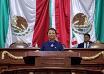 Liz Salgado impulsa reforma para garantizar mantenimiento permanente de cámaras