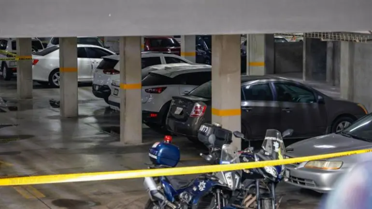 Reporta Sheinbaum caída histórica de 40% en homicidios dolosos al cierre de 2025