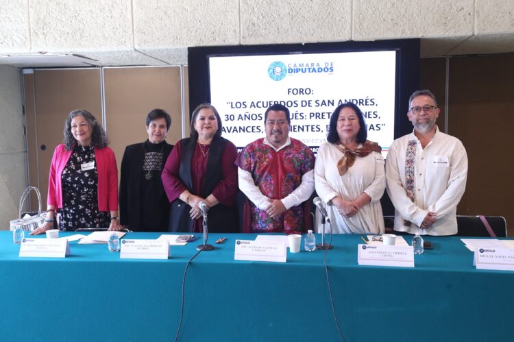 Organizaciones indígenas afirman que persisten omisiones legislativas, recortes presupuestales y una deuda histórica en materia de representación política