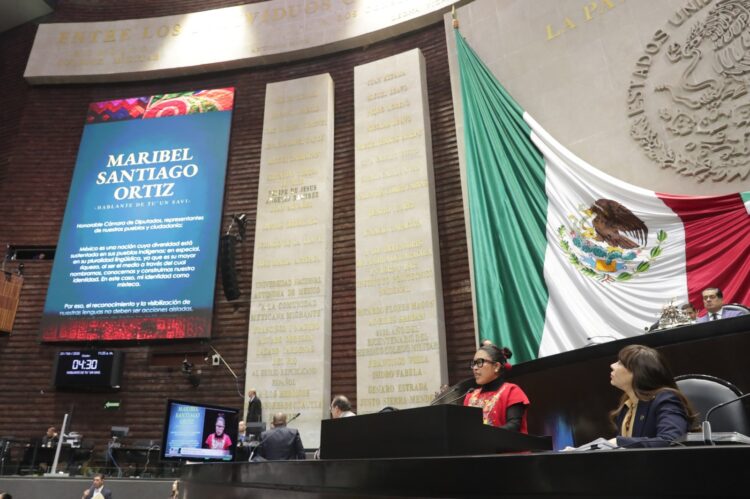 Necesario, integrar las 68 lenguas nacionales a la vida pública, plantea hablante de tu’un savi a diputadas y diputado