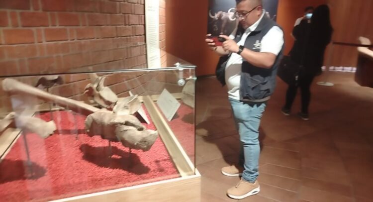 Tultepec, capital del mamut, la música y la pirotecnia