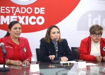 La Reforma Electoral es regresiva y dictatorial: Cristina Ruiz