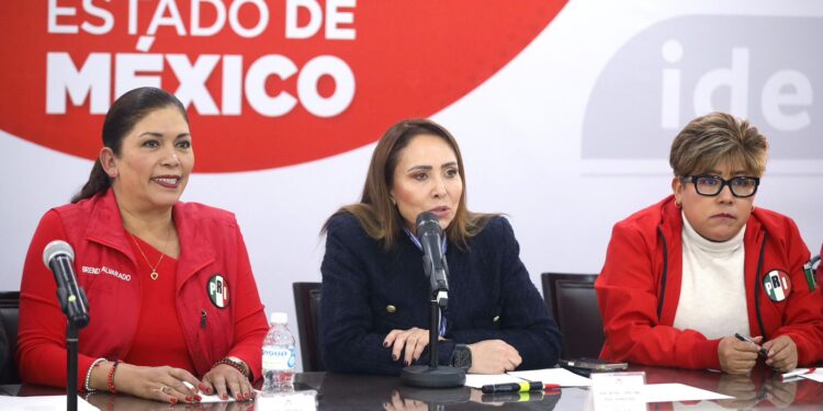 La Reforma Electoral es regresiva y dictatorial: Cristina Ruiz