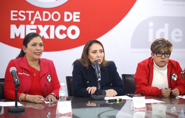 La Reforma Electoral es regresiva y dictatorial: Cristina Ruiz